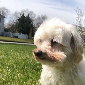 Meet your Posher, Cheryl